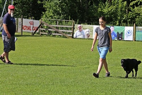 2016-p-07-056.jpg