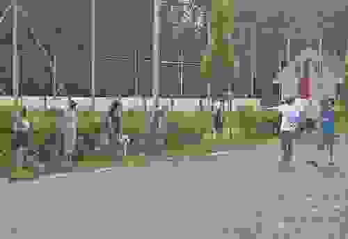 2016-p-06-007.jpg
