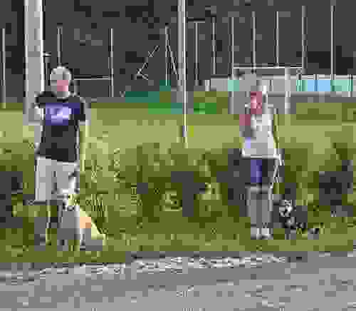 2016-p-06-017.jpg