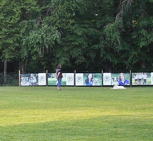 2016-p-06-119.jpg