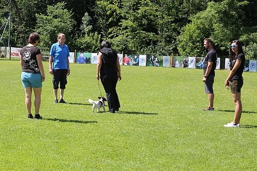 2016-t-06-112.jpg