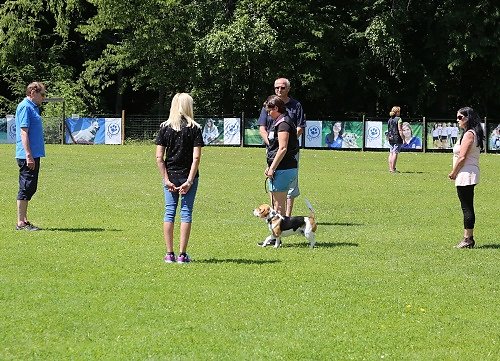 2016-t-06-249.jpg