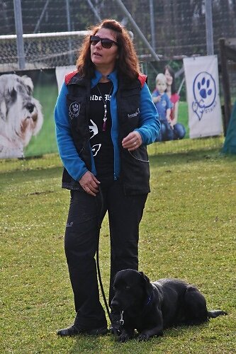 2015-p-12-027.jpg