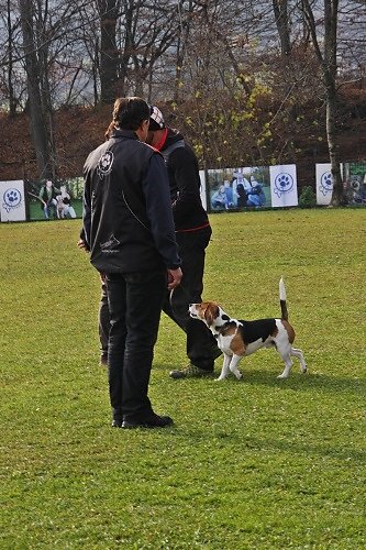 2015-p-12-029.jpg