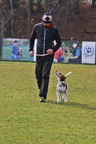 2015-p-12-030.jpg