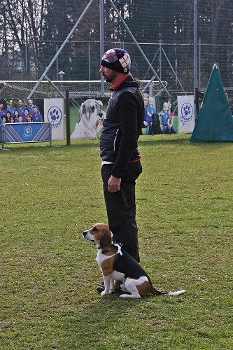 2015-p-12-033.jpg
