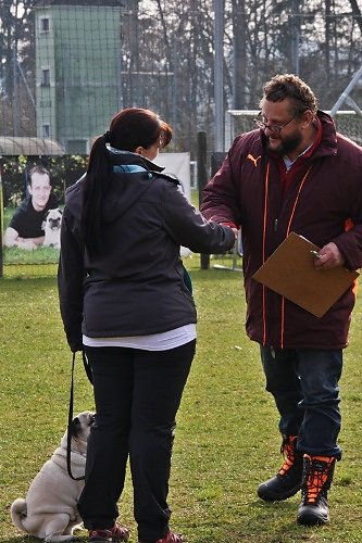 2015-p-12-037.jpg