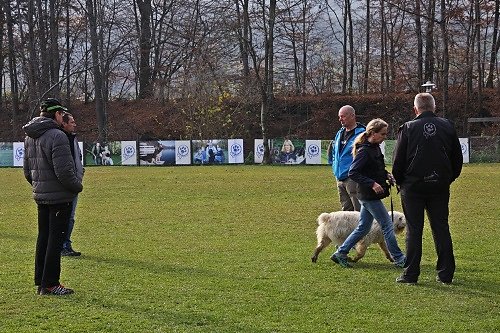 2015-p-12-041.jpg