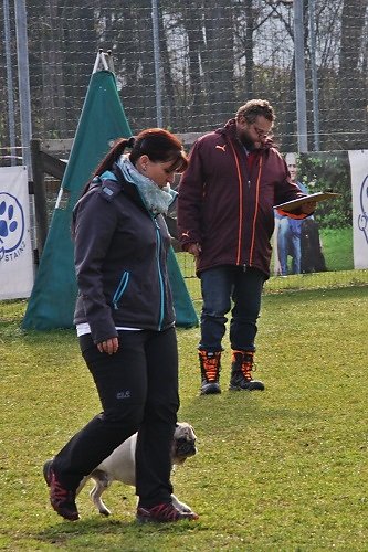 2015-p-12-044.jpg