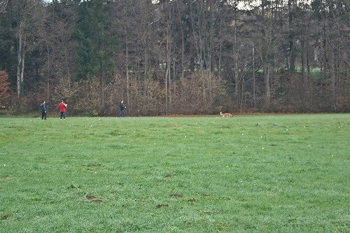 2015-p-12-058.jpg