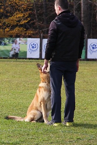 2015-p-12-060.jpg
