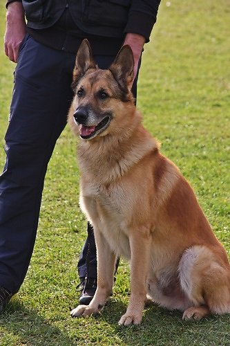 2015-p-12-077.jpg