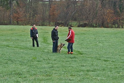 2015-p-12-102.jpg
