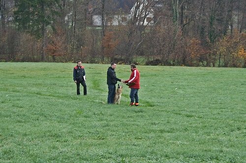 2015-p-12-114.jpg
