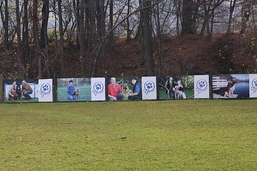 2015-p-12-120.jpg