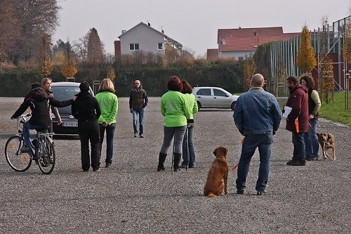 2015-p-12-121.jpg