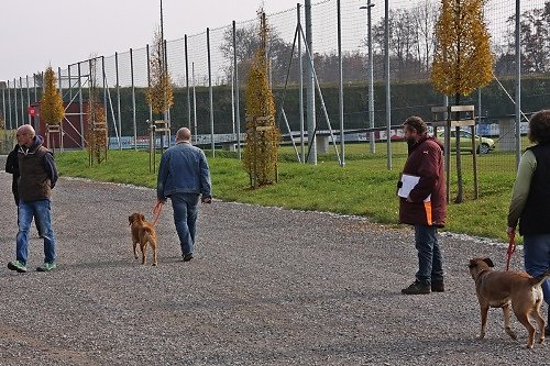 2015-p-12-122.jpg