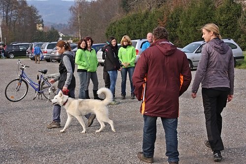 2015-p-12-135.jpg