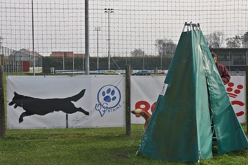 2015-p-12-140.jpg