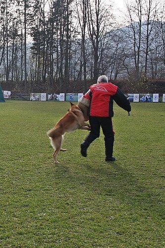 2015-p-12-141.jpg