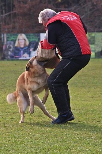 2015-p-12-142.jpg