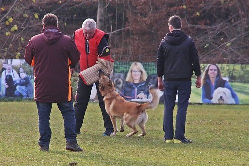 2015-p-12-145.jpg