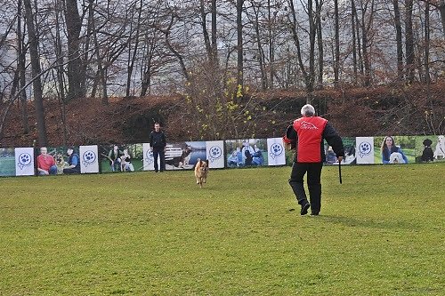 2015-p-12-148.jpg