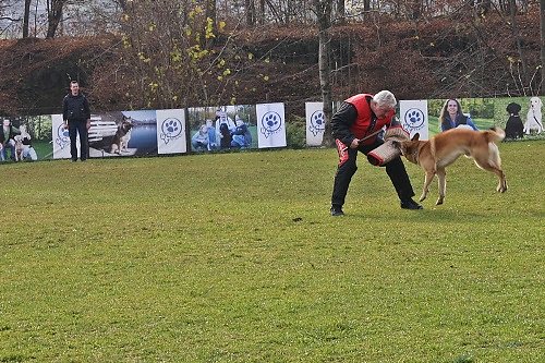 2015-p-12-150.jpg
