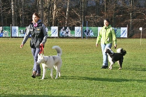 2015-p-12-221.jpg