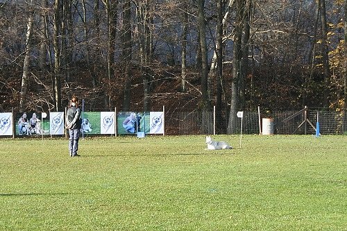 2015-p-12-223.jpg