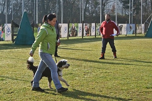 2015-p-12-226.jpg