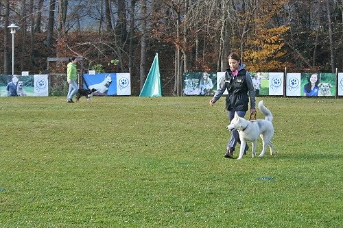 2015-p-12-229.jpg