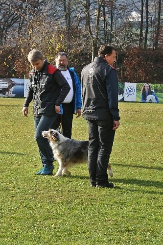 2015-p-12-244.jpg