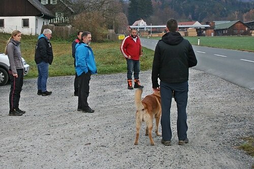 2015-p-12-246.jpg