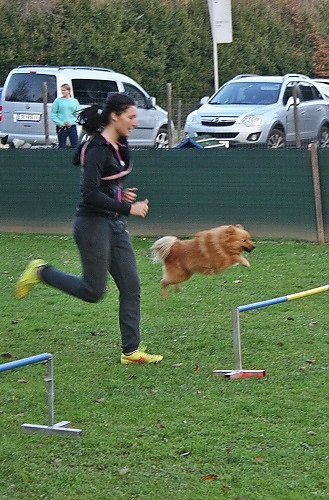 2015-p-11-003.jpg