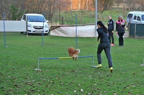2015-p-11-004.jpg