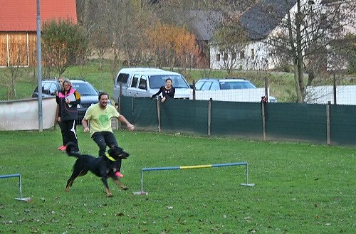 2015-p-11-019.jpg