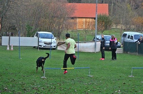 2015-p-11-020.jpg