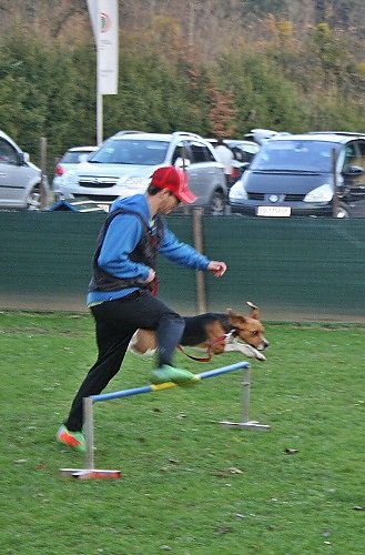 2015-p-11-021.jpg