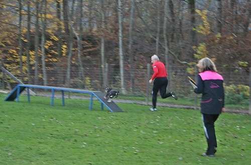 2015-p-11-028.jpg