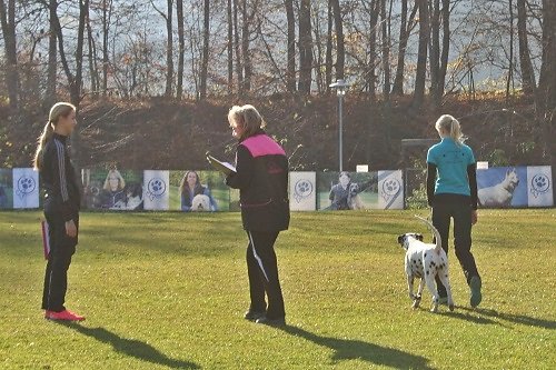 2015-p-11-110.jpg
