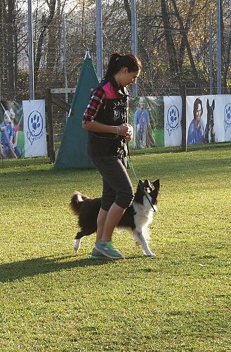 2015-p-11-118.jpg