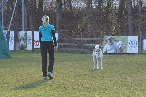 2015-p-11-121.jpg