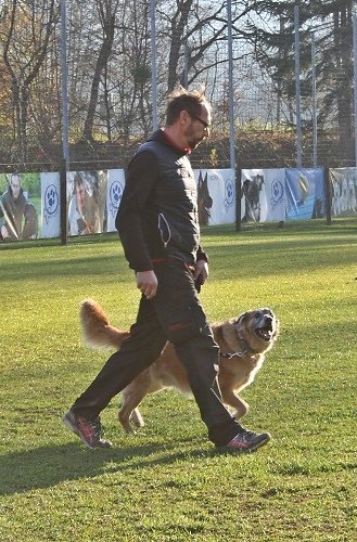 2015-p-11-122.jpg
