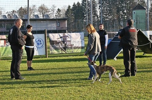 2015-p-11-129.jpg