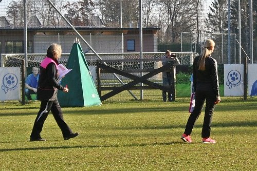 2015-p-11-132.jpg