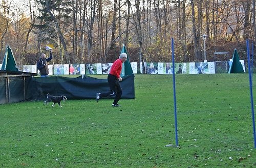 2015-p-11-148.jpg