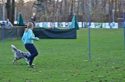 2015-p-11-155.jpg