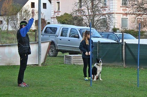 2015-p-11-159.jpg