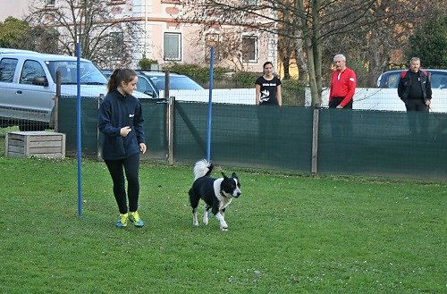 2015-p-11-160.jpg